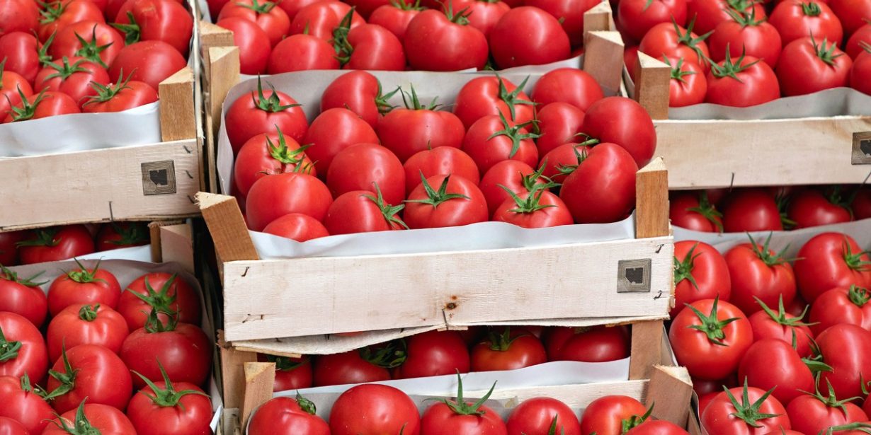 Tomate mit „Tag“: Dank digitaler Technologie wie RFID werden Lieferketten smart, die über den Ort einer Lieferung in Echtzeit informieren. Foto: adobe stock