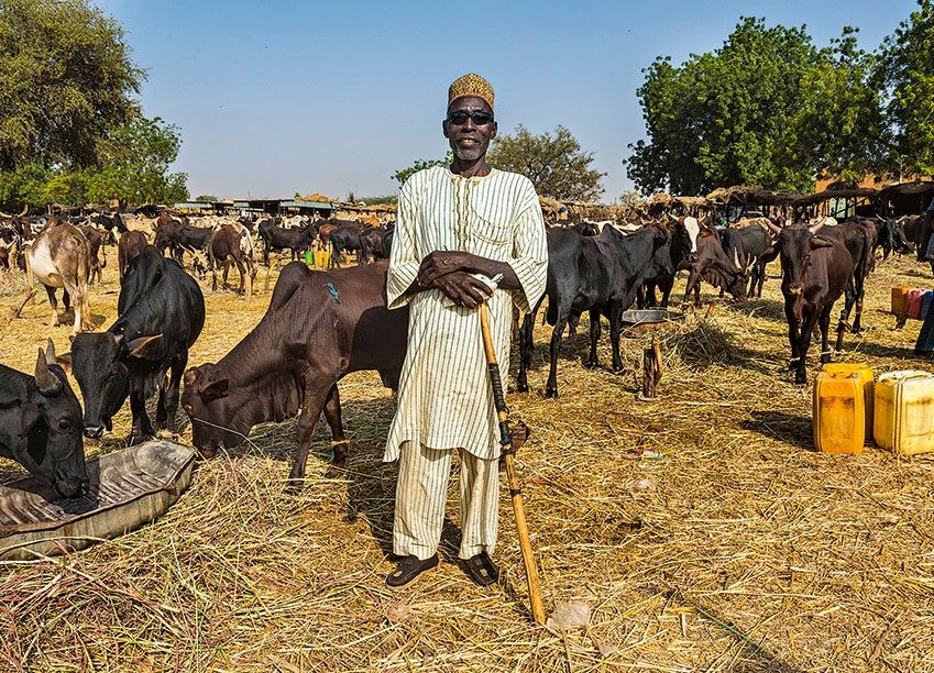 Dieser Viehhirte gilt als selbstständig und taucht darum in keiner Arbeitslosenstatistik auf, selbst wenn er durch Dürre oder Krankheiten gar kein Einkommen erzielt.