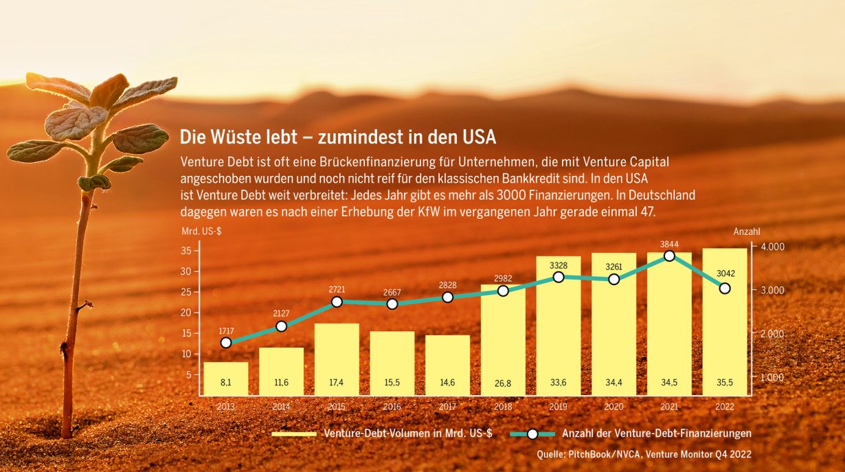 Die Wüste lebt – zumindest in den USA