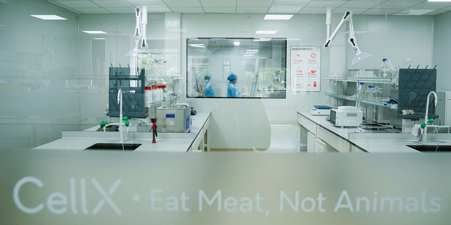 Fleisch, aber aus dem Labor: CellX arbeitet in seiner Pilotfabrik an der Züchtung von Fisch, Rind- und Hühnerfleisch.