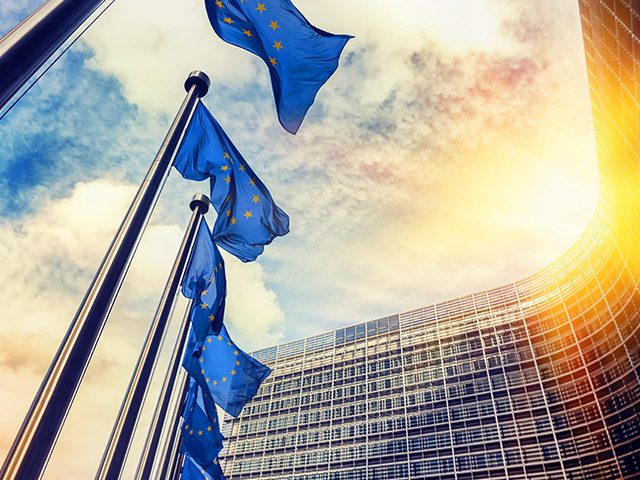 Europäische Flagge