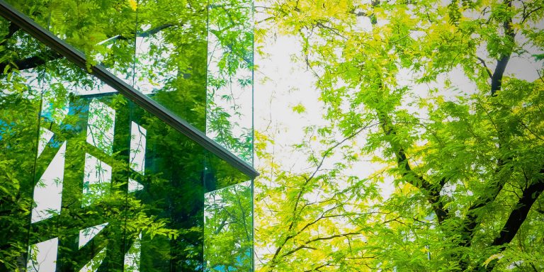 Was der Systemwandel für ESG-Investitionen bedeutet