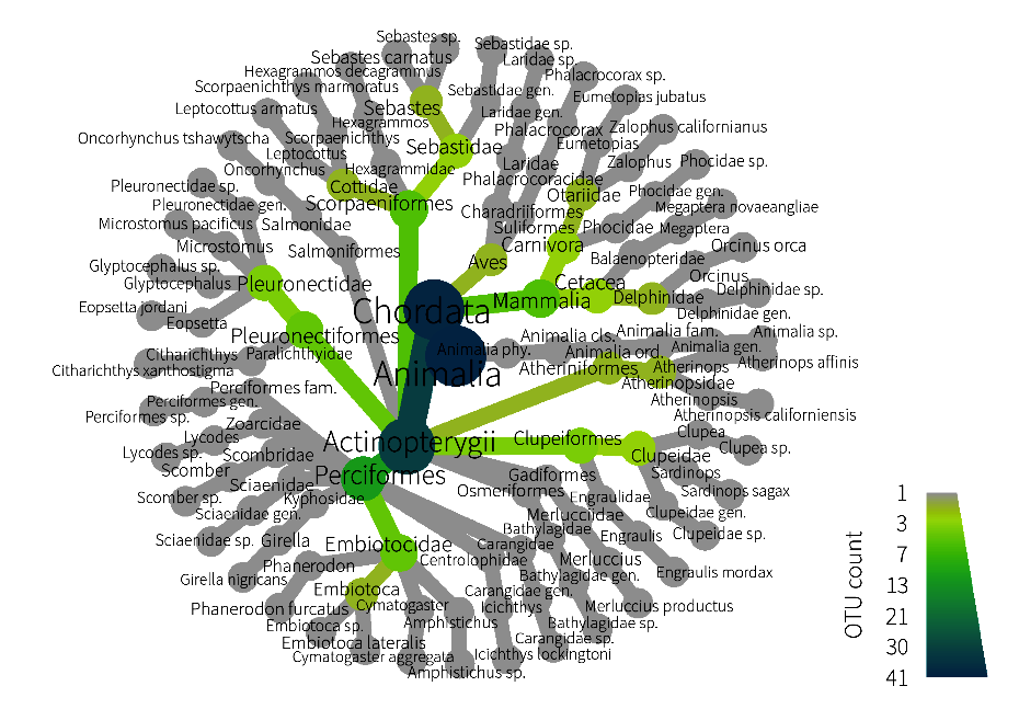 Taxonomisches Netzwerkdiagramm (Spinnendiagramm) der nachgewiesenen Arten aus eDNA-Proben. Im Zentrum stehen die übergeordneten Taxa „Animalia“ und „Chordata“, von denen Verbindungslinien zu untergeordneten Klassen, Ordnungen, Familien, Gattungen und Arten führen. Die Knotenfarbe und Linienstärke kodieren die OTU-Anzahl (Operational Taxonomic Units) gemäß einer Farbskala von grau (1 OTU) über grün (ca. 7–21 OTUs) bis dunkelblau (41 OTUs). Zu den artenreichsten Gruppen zählen Actinopterygii (Strahlenflosser), Perciformes, Pleuronectiformes, Scorpaeniformes sowie Mammalia mit Untergruppen wie Cetacea und Delphinidae.