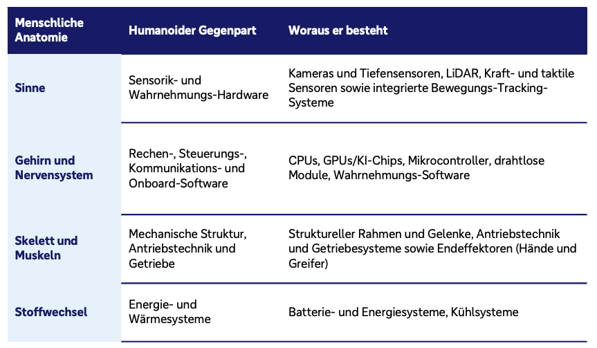 Tabelle mit vier Zeilen, die menschliche Körperfunktionen den entsprechenden technischen Komponenten humanoider Roboter gegenüberstellt. Für die Sinne stehen Sensorik und Wahrnehmungshardware wie Kameras, Tiefensensoren, LiDAR sowie Kraft- und Tastsensoren. Gehirn und Nervensystem entsprechen Rechen-, Steuerungs- und Kommunikationssystemen mit CPUs, GPUs, Mikrocontrollern, drahtlosen Modulen und Wahrnehmungssoftware. Skelett und Muskeln werden durch mechanische Strukturen, Gelenke, Antriebstechnik, Getriebe und Greifer abgebildet. Dem Stoffwechsel entsprechen Batterie-, Energie- und Kühlsysteme.