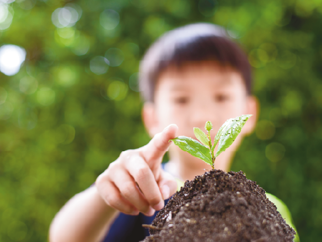 Gallery – nachhaltig inspirierend