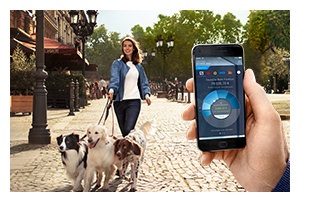 Multibanking