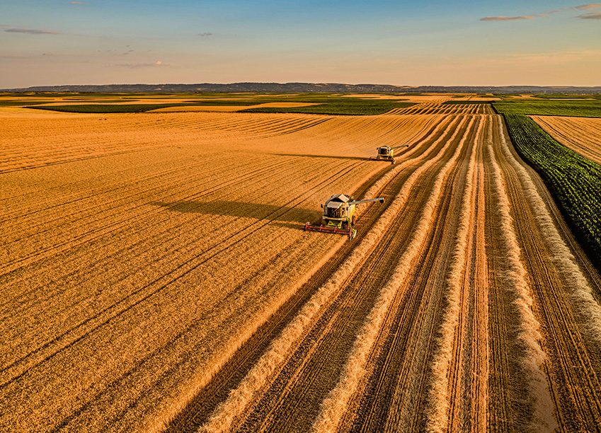 Die Ukraine galt lange als die Kornkammer Europas. picture alliance / Westend61