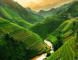 Vietnam